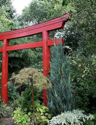 Японские ворота тории в саду