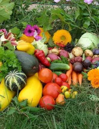 Овощи в саду